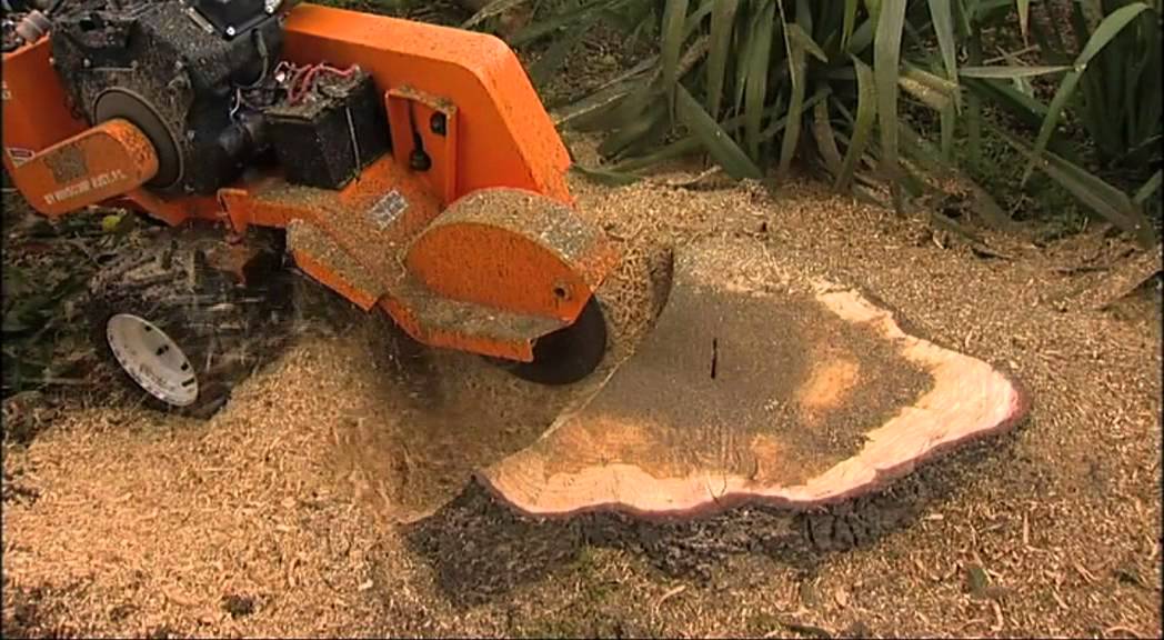 Tips Techniques For Stump Removal